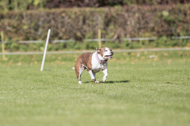 Bo4I8028 30566203715 O