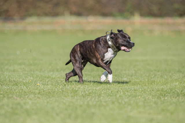 Bo4I7956 30566210795 O