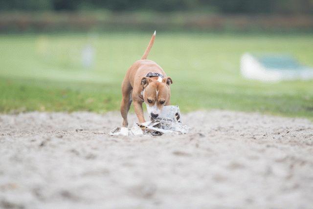 Bo4I7706 29932643033 O