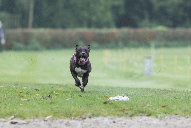 Bo4I7718 29934977114 O