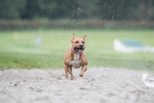 Bo4I7713 29934977764 O