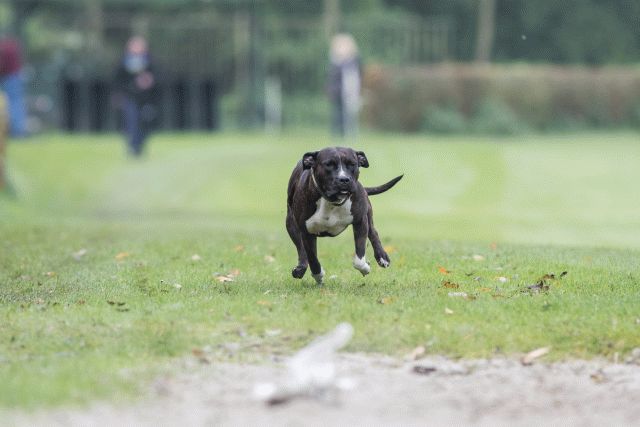 Bo4I7680 29934987194 O