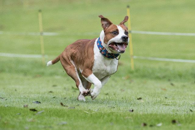 Bo4I7635 29934998244 O