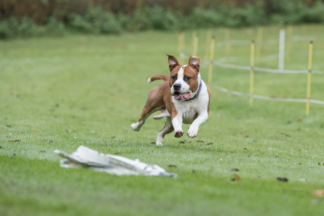 Bo4I7632 29934998624 O