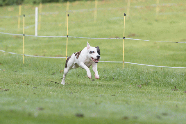 Bo4I7600 29942747183 O