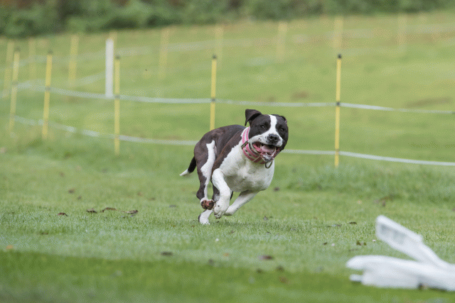 Bo4I7584 29942750483 O