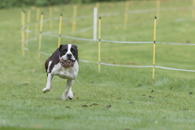 Bo4I7582 29942751153 O