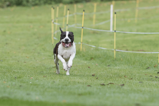 Bo4I7581 29942752383 O