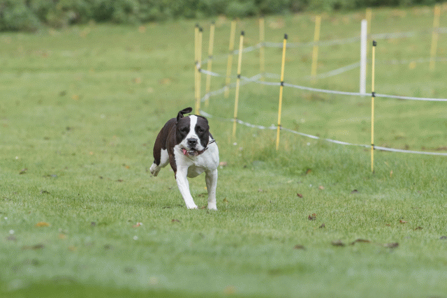 Bo4I7580 29942752523 O