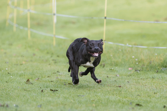 Bo4I7564 29942756393 O