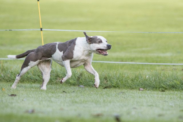 Bo4I7537 29942761413 O