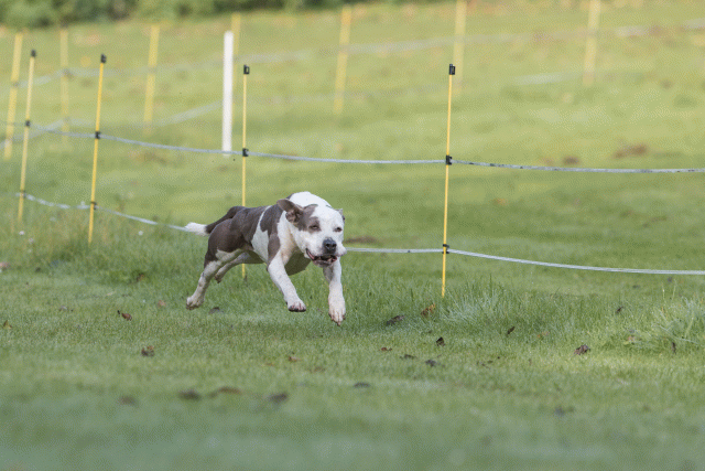 Bo4I7531 29942763773 O