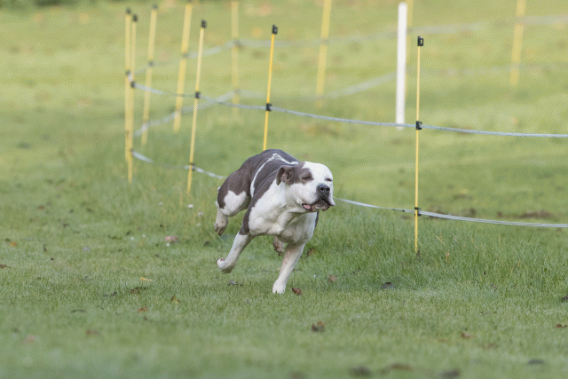 Bo4I7530 29942764663 O