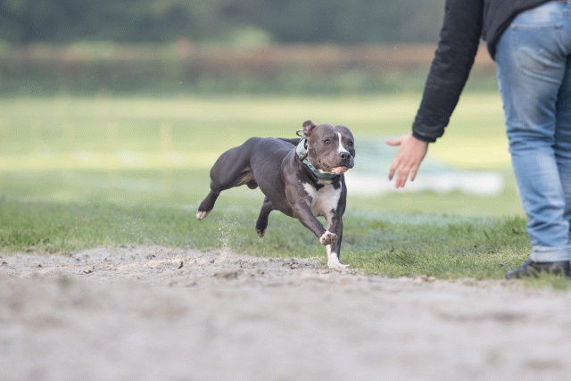 Bo4I7524 29942765513 O