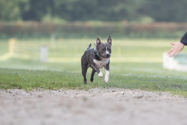 Bo4I7522 29942765553 O