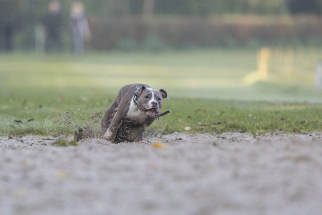 Bo4I7437 29942776403 O