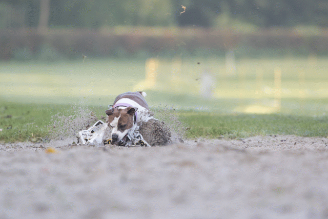 Bo4I7430 29942777233 O