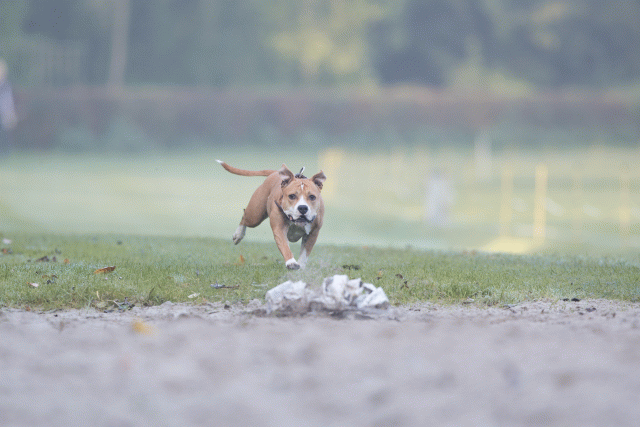 Bo4I7364 29942784363 O