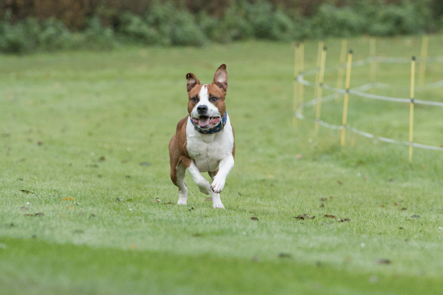 Bo4I7630 29945001864 O