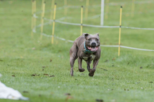 Bo4I7622 29945003574 O