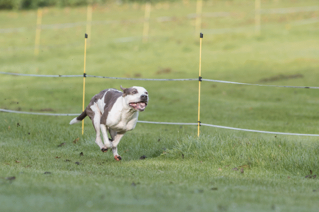 Bo4I7532 29945019314 O