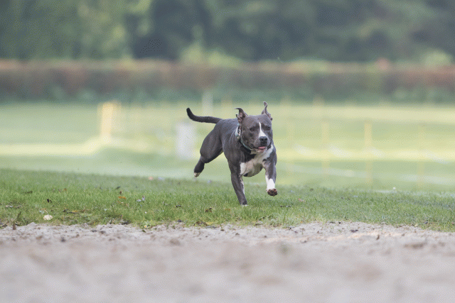 Bo4I7521 29945020404 O