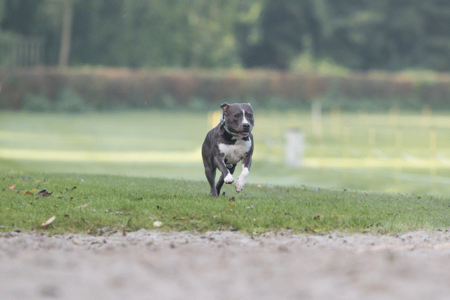 Bo4I7519 29945020694 O