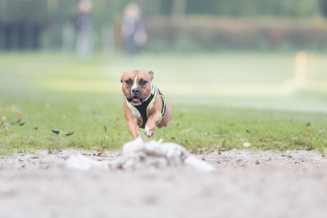 Bo4I7510 29945021344 O