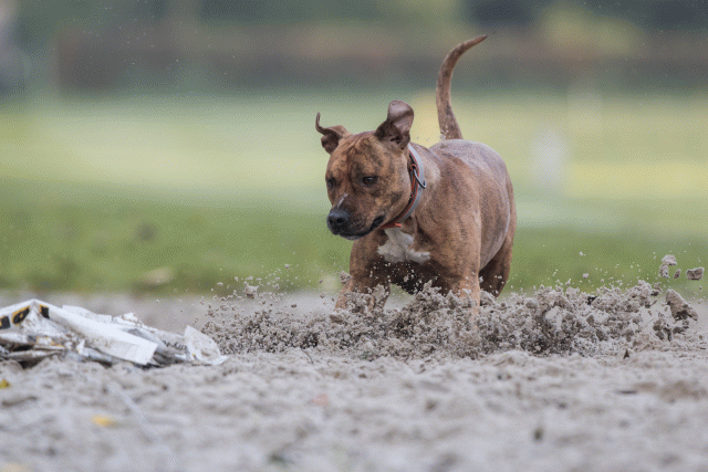 Bo4I7472 29945025334 O