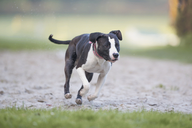 Bo4I7419 29945031934 O