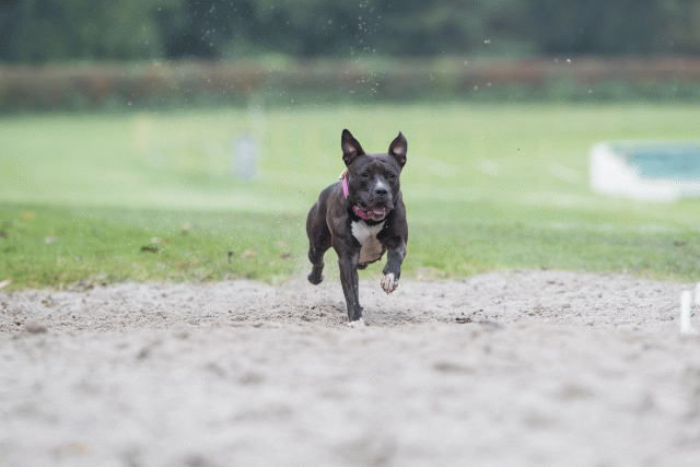 Bo4I7723 30267247140 O