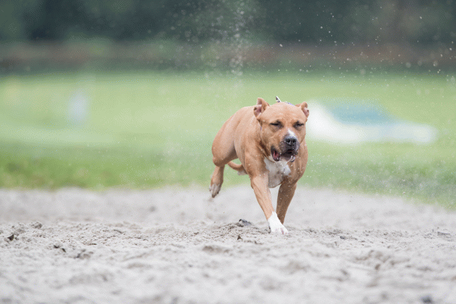 Bo4I7714 30267251750 O