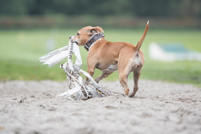 Bo4I7698 30267261150 O