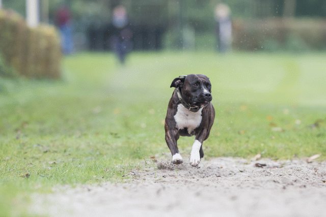 Bo4I7684 30267263120 O