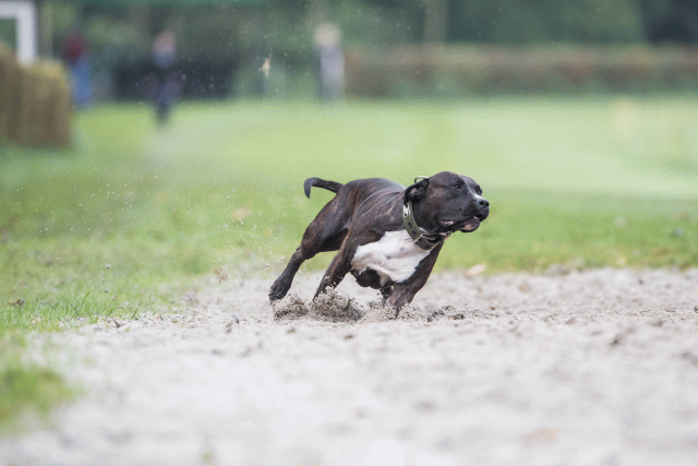 Bo4I7686 30267263130 O