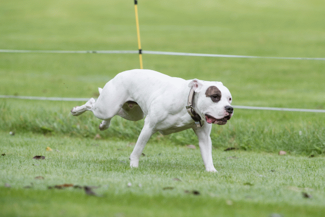 Bo4I7655 30267276560 O