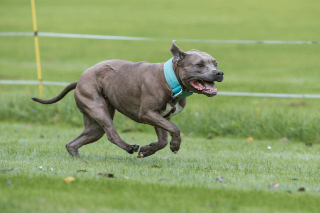 Bo4I7627 30277401630 O