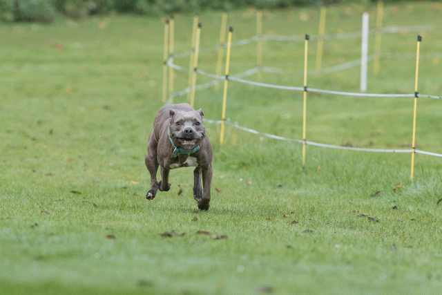 Bo4I7620 30277402830 O