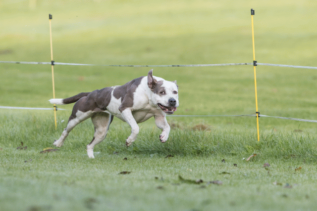 Bo4I7534 30277410500 O