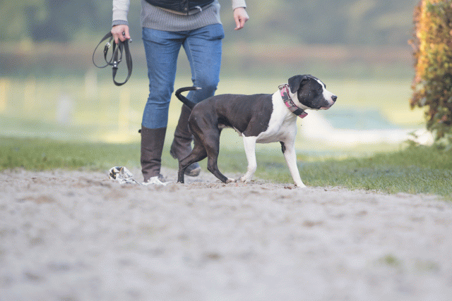 Bo4I7417 30277418920 O