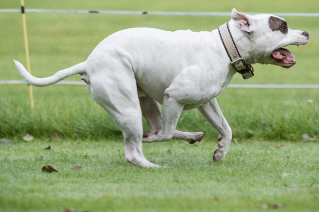 Bo4I7659 30449478212 O