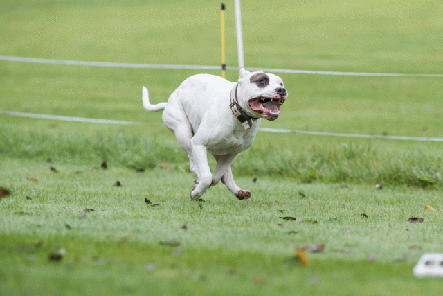 Bo4I7654 30449478782 O