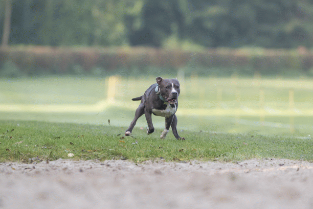 Bo4I7520 30459788362 O