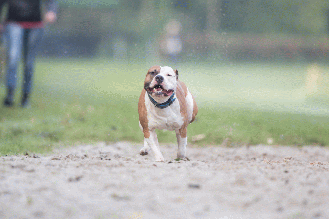 Bo4I7490 30459790512 O