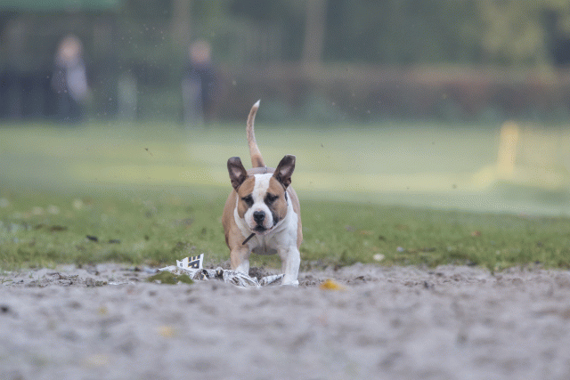 Bo4I7460 30459793652 O