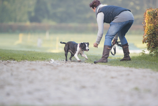 Bo4I7414 30459799482 O