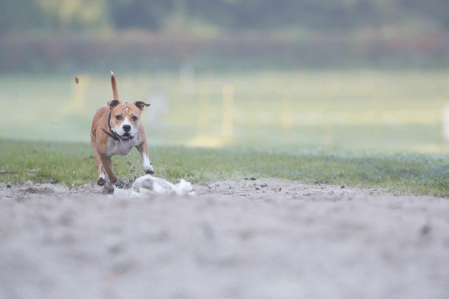 Bo4I7366 30459803352 O