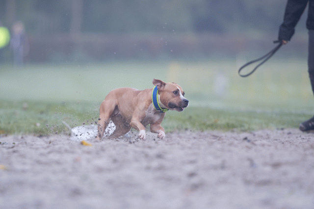 Bo4I7327 30459809302 O