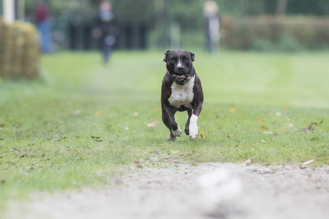 Bo4I7682 30478370161 O