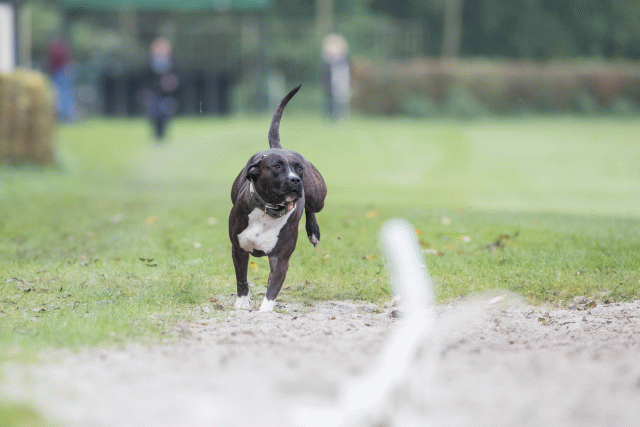 Bo4I7683 30478370261 O